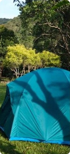 Blue tent at a forest campsite