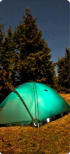 Green tent pitched at night beside pine trees